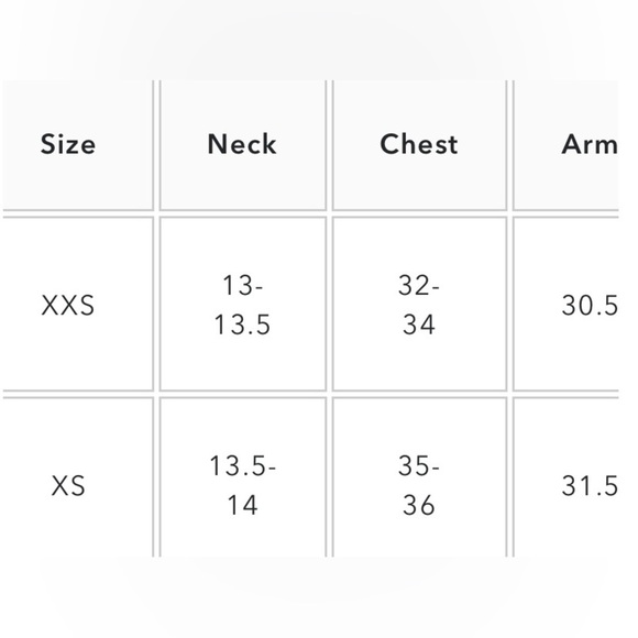 American Eagle Men’s Long Sleeve Graphic Tees (2 Pack) – Size XS - Picture 4 of 4